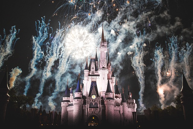Disneyland at night with fireworks